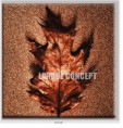 /album/photo-gallery-canvas-uri/decoratiuni-de-perete-canvas-lc-0446-jpg/